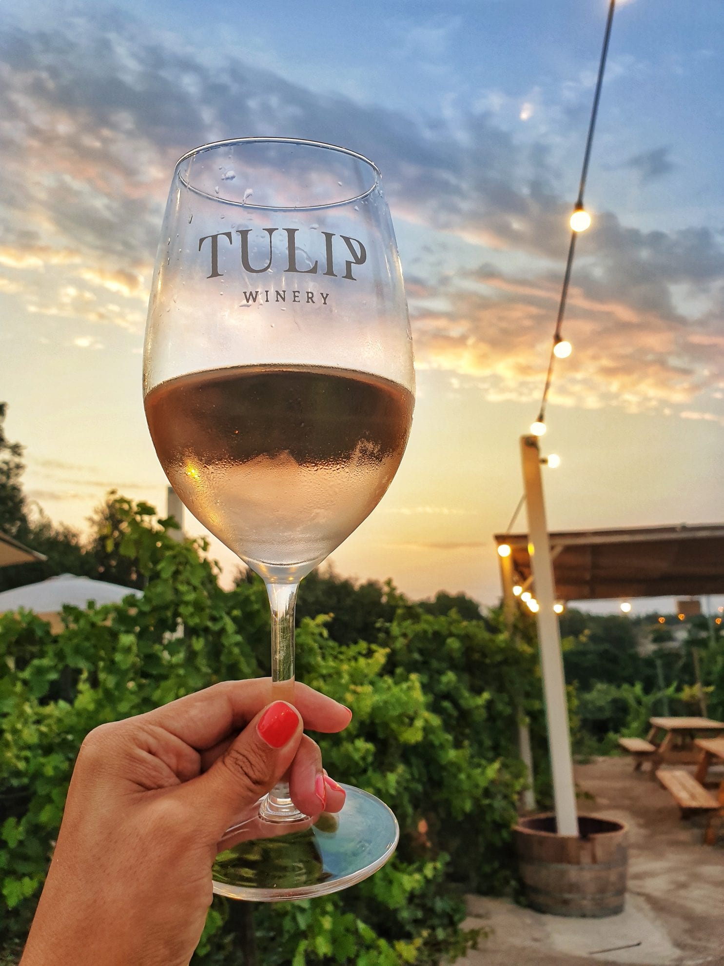 ראיון עם יינן: דוד בר אילן יקב טוליפ