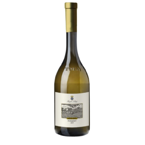 ללא-שם-600-x-600-px-2