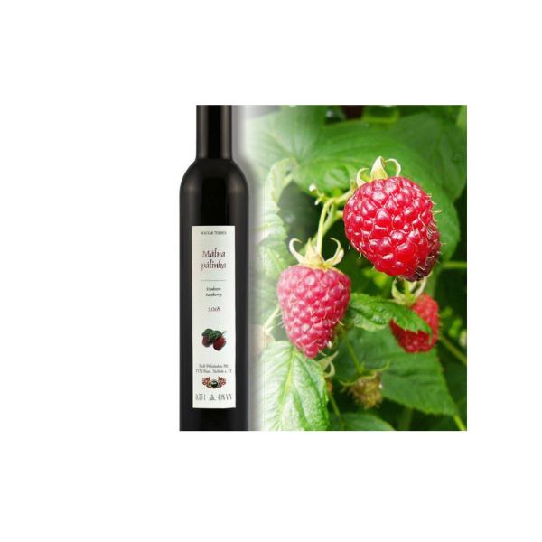 עיצוב ללא שם (22)